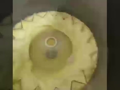 mesin roll telur komersial