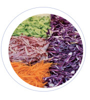 Kapasitas 304 Peralatan pengolahan sayuran baja tahan karat dengan lebar melalui dan 50HZ Frekuensi Vegetabble Sliver