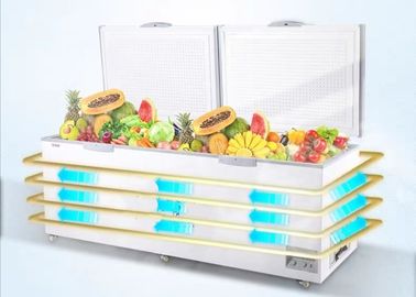 Kapasitas Besar Deep Chest Freezer Pintu Ganda Deep Freezer Cepat Freezer Dada 850 Liter